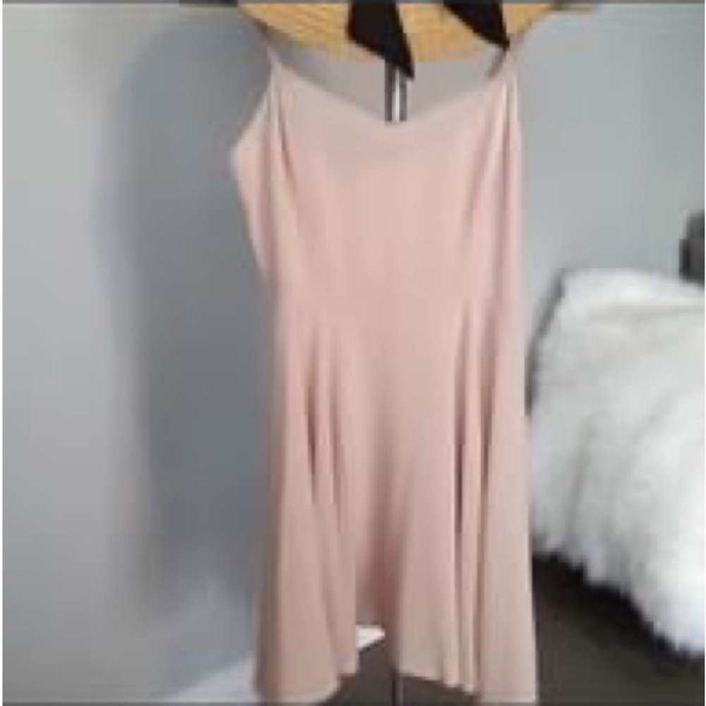 Aritizia Talula Skater Dress size 4